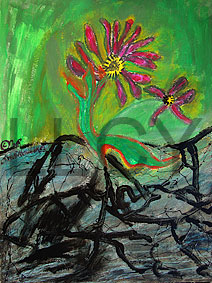 de willem lloyd & cyem inc. guillaume