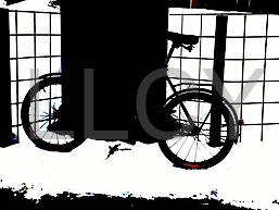 de willem lloyd & cyem inc. guillaume