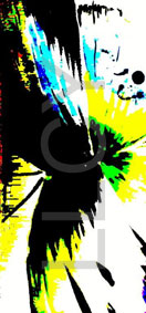 de willem lloyd & cyem inc. guillaume