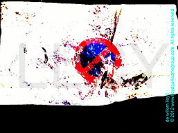 de willem lloyd & cyem inc. guillaume