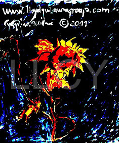 de willem lloyd & cyem inc. guillaume