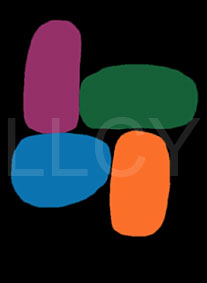 de willem lloyd & cyem inc. guillaume