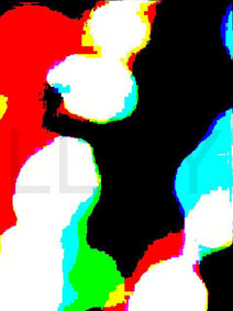 de willem lloyd & cyem inc. guillaume