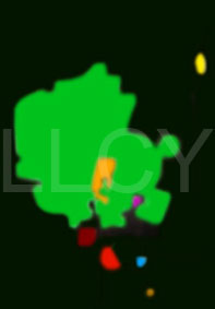 de willem lloyd & cyem inc. guillaume