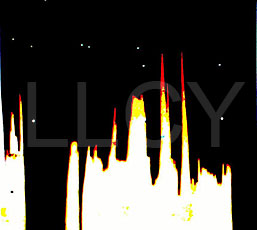 de willem lloyd & cyem inc. guillaume