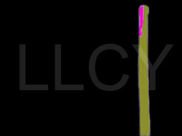 de willem lloyd & cyem inc. guillaume