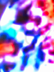 de willem lloyd & cyem inc. guillaume