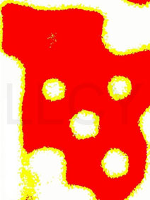 de willem lloyd & cyem inc. guillaume