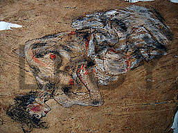 de willem lloyd & cyem inc. guillaume