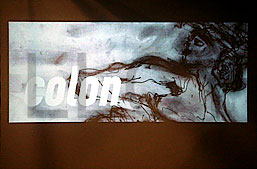 de willem lloyd & cyem inc. guillaume