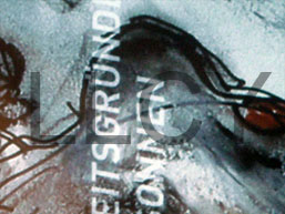 de willem lloyd & cyem inc. guillaume